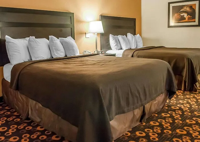 Econo Lodge Inn & Suites